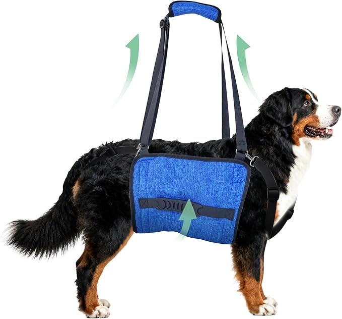 Adjustable Dog Lift Harness, Dog Carry Sling Provides Rear Leg Support for Senior Dogs, Arthritis and After ACL Surgery Dogs,Suitable for Medium to Large Dogs,Blue XXL