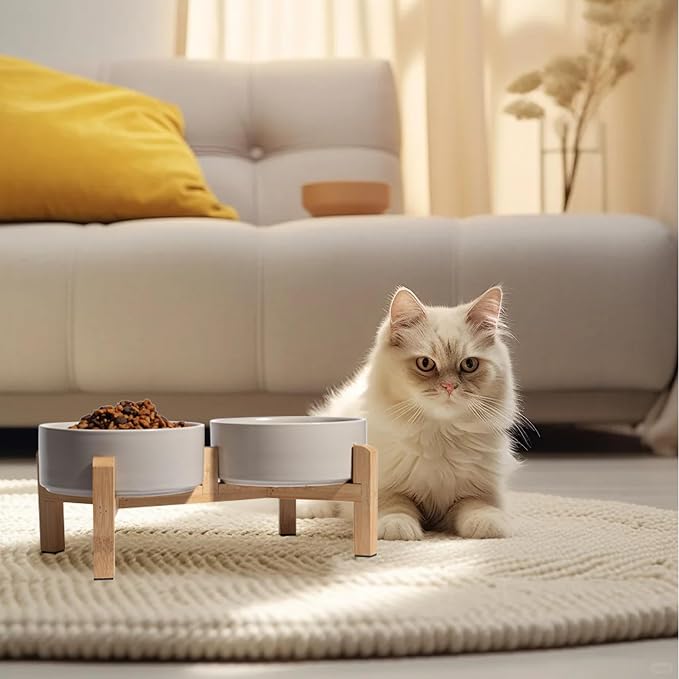 Elevated Ceramic Dog Bowl, 2 Cups Dog Food and Water Bowl Set with Stand | 5.1'' Double Dog Feeding Dishes, Non-Slip Raised Dog Feeder for Cats and Puppies, 16.23 OZ / 480 ML, White