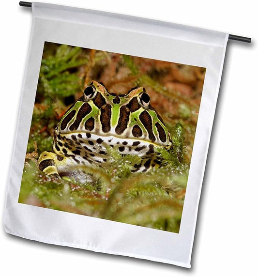 3dRose Pacman frog, South American Horned frog - NA02 AJE0361 - Adam Jones 12 x 18 inch Garden Flag