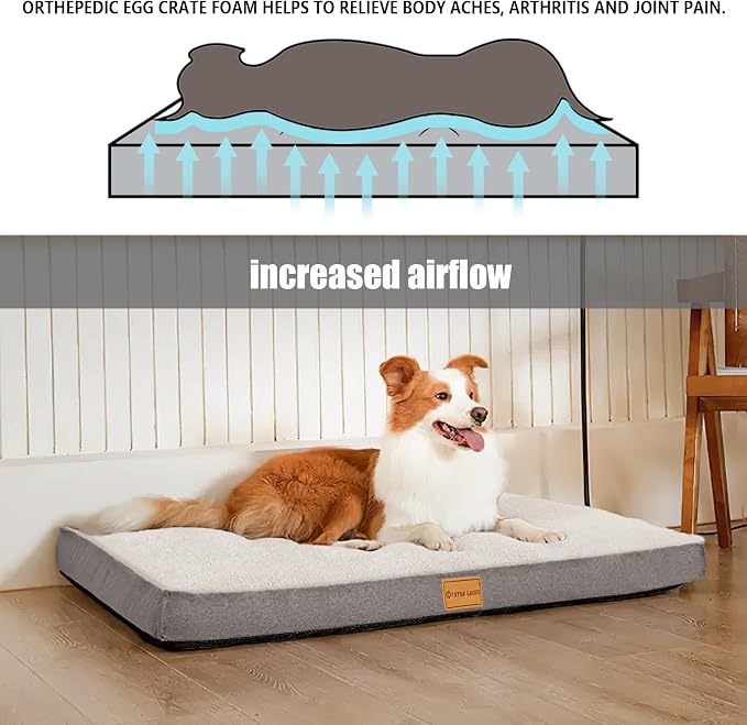 Patas Lague Orthopedic Large Dog Bed Washable Pet Sofa Mat 56''X40'' Ivory | Egg-Crate Foam Dog Couch For Large Sized Dogs, Waterproof Removable Cover, Soft Pet Crate Bed With Nonskid Bottom