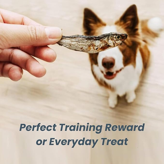 Gluten Free Herring Dried Fish Pet Treats Pure Wild-Caught & Single Ingredient Snack Healthy Dog Treats, Made in Alaska Just The Rich in Protein Fish & Nothing Else (3.5 Oz Bag)