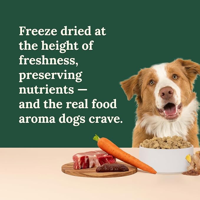 360 Pet Nutrition Freeze-Dried Raw Dog Food – Beef Recipe with Liver & Organs, High Protein with Omega-3s, Fruits, Veggies & Superfoods, Grain-Free, No Fillers 2 x 48 oz – Made in USA