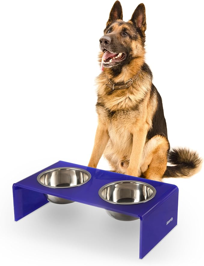 DBL2001F Keaton 7.5" Medium/Large Modern Acrylic Rectangular Elevated Pet Feeder with 54oz 2-Stainless Steel Bowls, Purple/Chrome
