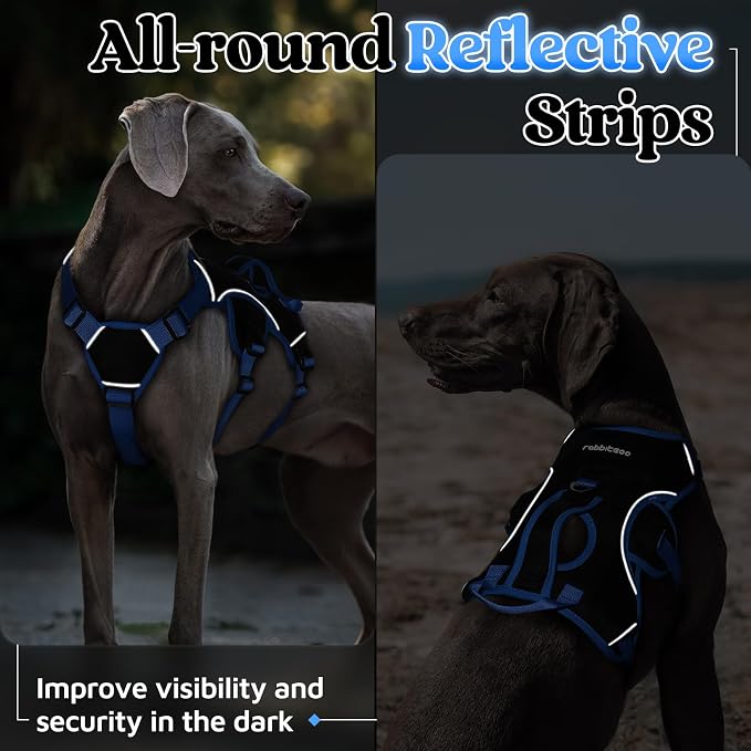 rabbitgoo Escape Proof Dog Harness for X-Large, No Pull with Lift Handle | No Escape, Full Soft Padded, Reflective Adjustable Vest, Leash Clip for Walking Hiking Training, Blue & Black, X-Large