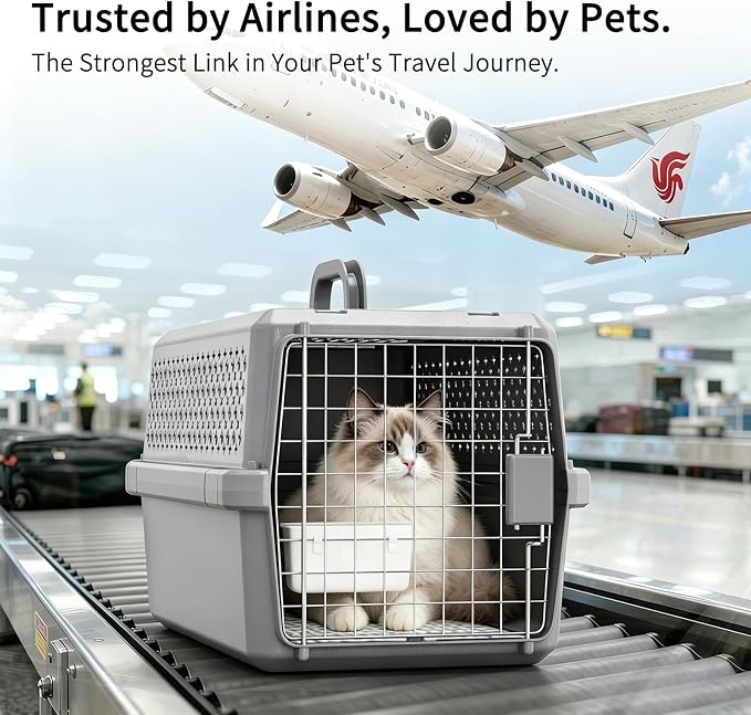 RIZZARI Portable Cat & Dog Carrier for Medium Pets:Hard-Sided Pet Travel Carrier