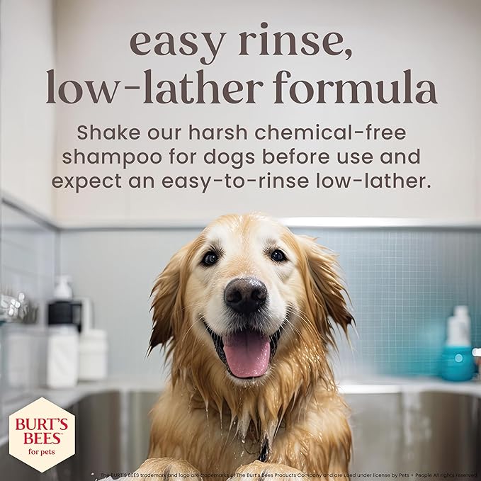 Burt's Bees for Pets Deodorizing Shampoo for Dogs, Manuka Honey & Charcoal, Reduces Odor, 95%+ Natural Origin, No Sulfates, Parabens or Phthalates, Leaves Milk & Honey Scent, 16 Fl Oz