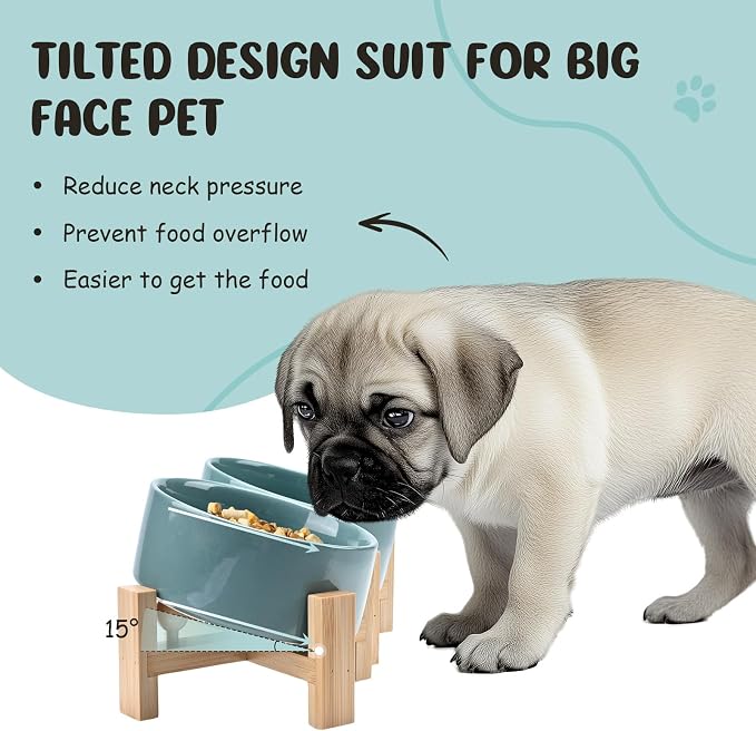 SPUNKYJUNKY 15° Slanted Ceramic Dog and Cat Bowl with Wooden Stand, Tilted Bulldog Food and Water Bowl No Slip Non-Spill for Cats Medium Dogs Big Face Pets 28.7 OZ (3.6 Cups, Light Green × 2)