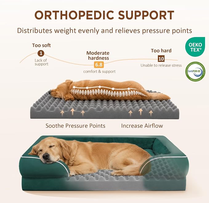 Comfort Expression Waterproof Orthopedic Dog Beds for Extra Large Dog | Supportive Egg Crate Foam XL Dog Bed with Removable Bolster, Dog Couch with Washable Cover & Non-Slip Bottom, 45x35 Inch
