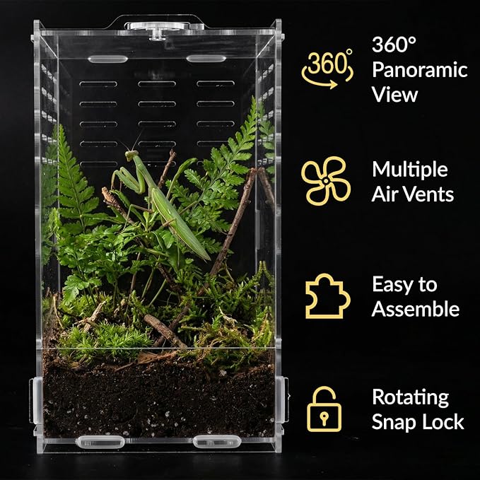 9.8 Inch Jumping Spider Enclosure, Desktop Micro Terrarium, Breeding Box, 360° Clear Acrylic Insect Habitat, 3-Side Ventilation, Easy Assembly, for Mantis, Tarantula, Snail, Small Reptiles, Plants