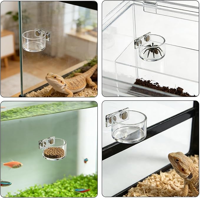 Jumping Spider Feeding Dish,Jumping Spider Food Dish,Decorative Magnetic Plastic Water Bowl and Tweezers, Jumping Spider Enclosure Accessories Magnetic Water Bowl Easy to Install