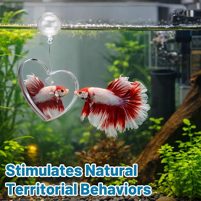 6PCS Betta Mirror, Betta Ring and Bettas Feeding Ring, Fish Enrichment Toys Set with Floating Mirror and Exercise Rings for Bettas Decor