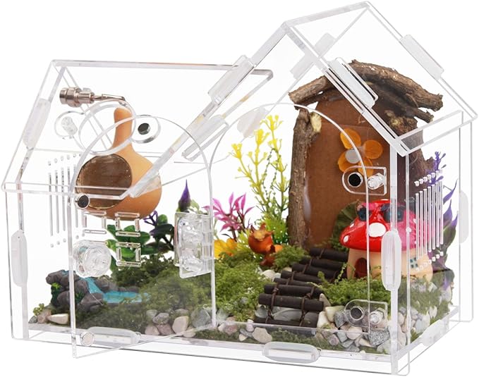 Acrylic Jumping Spider Terrarium with Magnetic Lock – 5.6” Tall Transparent Enclosure for Tarantulas, Hermit Crabs & Small Insects – Secure Ventilated Habitat with Easy Snap Assembly