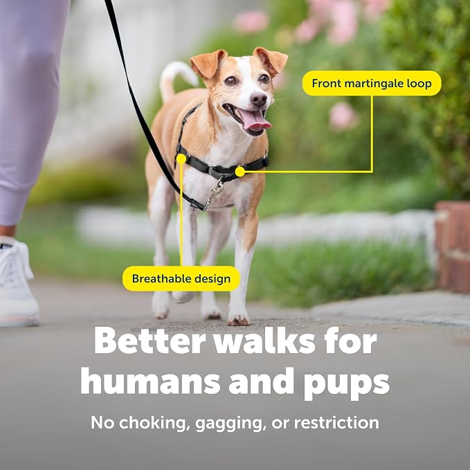 PetSafe Easy Walk Harness, No Pull Dog Harness, Deep Purple, Small | Patented Martingale Loop Gives Gradual Shoulder Pressure to Stop Pulling, Front-Chest Leash Clip Prevents Gagging