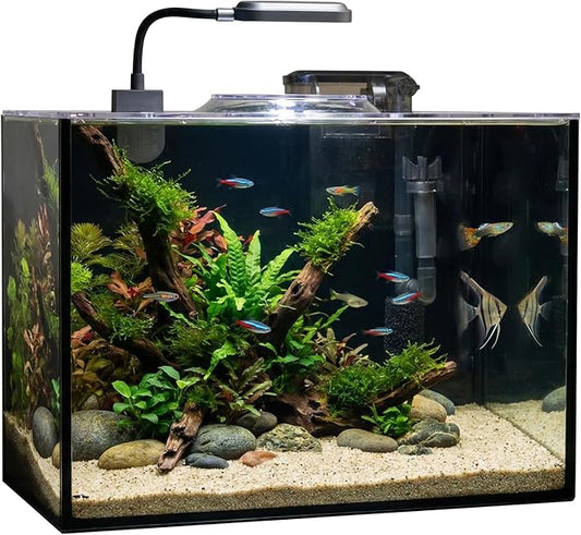 Rise Torrent Glass Fish Tank, 1.78 Gallon Betta Fish Tank Aquarium Starter Kit with Filter and Light, Small Desktop Aquarium Kit for Betta, Goldfish, Small Fish or shrimg