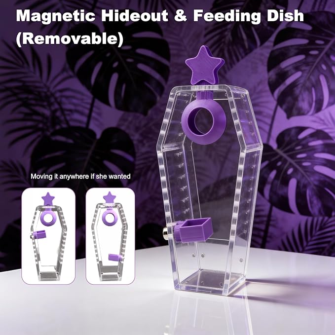 Jumping Spider Enclosure,Acrylic Magnetic Terrarium with Water Feeder and Star Hide,Terrarium Kit for Tarantulas Snails 5.9x2.6x3 Inches 6PCS(Purple)