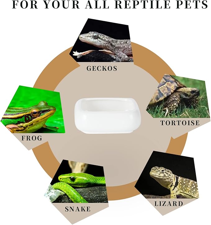 Reptile Food Bowls Ceramic Square Reptile Water Food Dish, Pet Food Bowl for Lizards, Young Bearded Dragons, Small Snakes, Gecko Tortoise Spider (White, Large-2Pack)