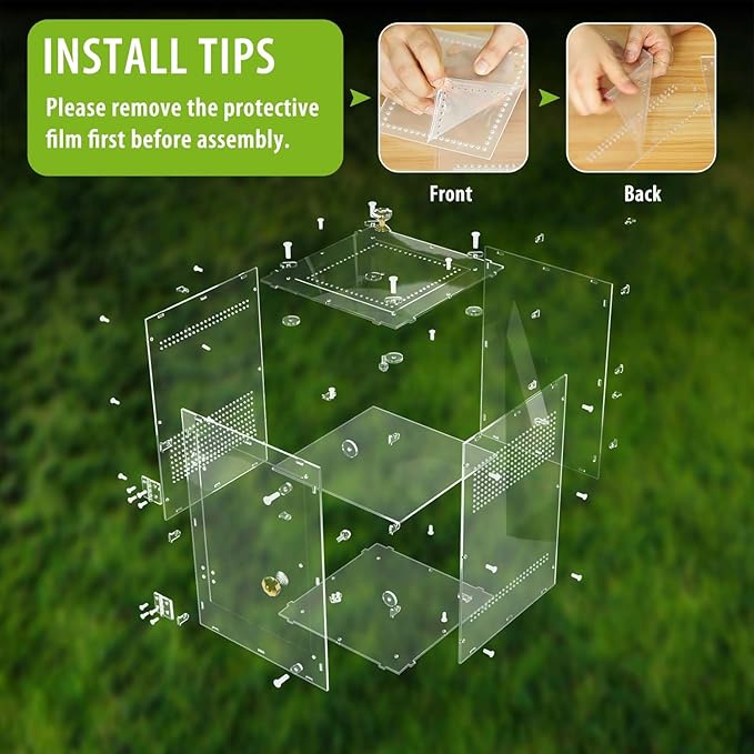 Acrylic Jumping Spider Enclosure with Removable Divider – 12"*8"*8" Large Reptile Terrarium for Praying Mantis, Arboreal Tarantula, Snails, Lizard, Gecko, Secure Habitat with Front Door & Top Lid