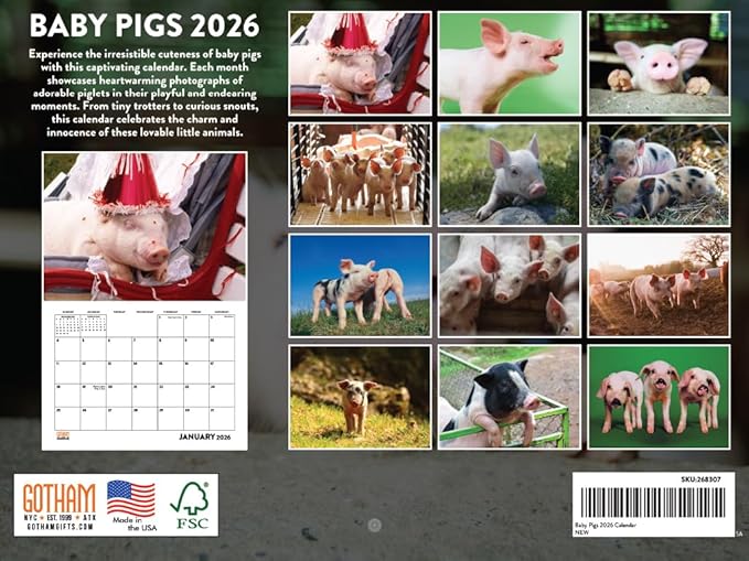 Baby Pig Calendar 2026 Wall 12 Month Piglet Gifts For Pigs Lovers Women Men Monthly Calender | American Made In The USA