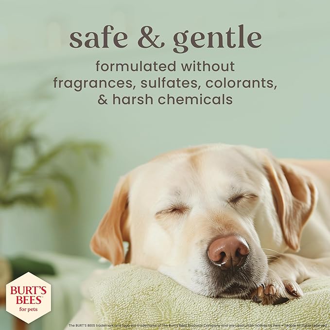 BURT'S BEES FOR PETS Paw Balm for Dogs with Manuka Honey and Coconut Oil, Soothes Dry Dog Paws, Naturally Derived Ingredients, 1.76 Oz