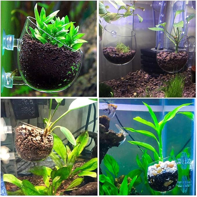 capetsma 2X Crystal Glass Aquatic Plant Pot, Planter, Red Shrimp Live Plants Fish Tank Holder with 4X Suction Cups for Aquarium Aquascape Decoration…