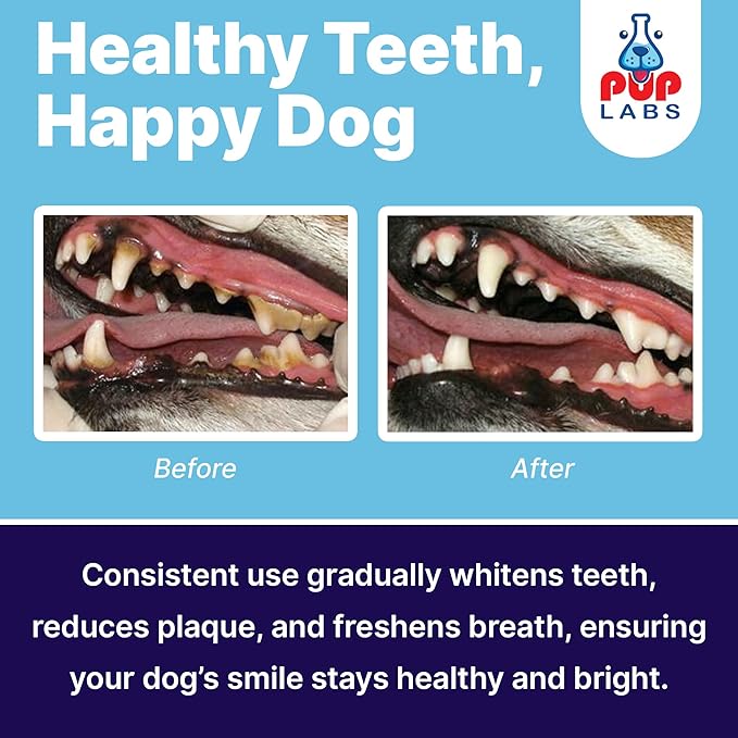 Pup Labs ProDenta, Tartar Remover for Dogs and Dog Bad Breath Eliminator, Natural Powder for Plaque and Gum Support, Made in USA, 6-Pack (180 Scoops)