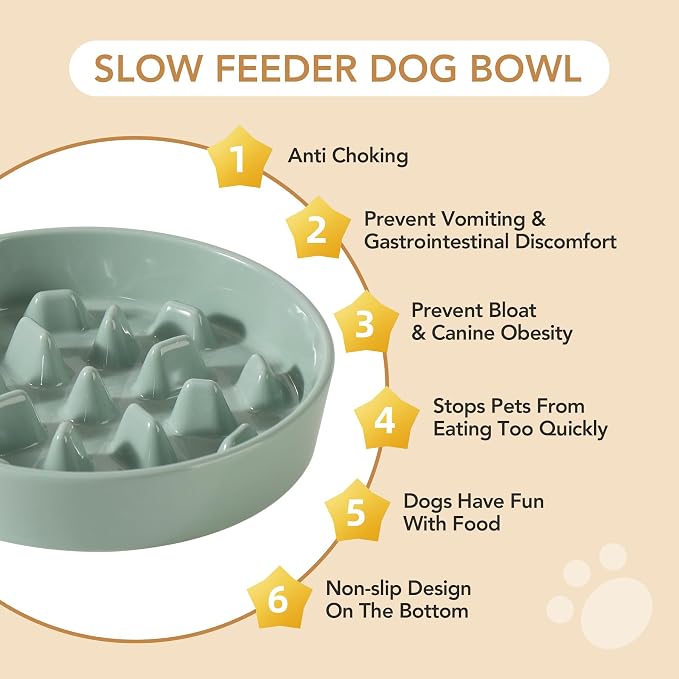 Havniva Dog Bowls Slow Feeder, Ceramic Slow Feeder Dog Bowls for Fast Eater | 3.2 Cups Dog Food Bowl Puzzle Feeder, Slow Feeding Bowls for Large Dogs, Non-Slip Base, Anti-Choking