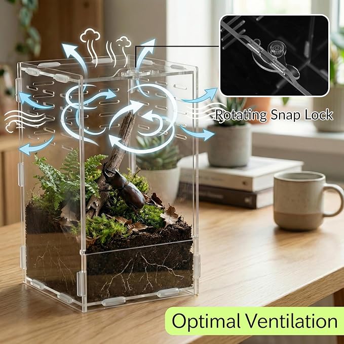 9.8 Inch Jumping Spider Enclosure, Desktop Micro Terrarium, Breeding Box, 360° Clear Acrylic Insect Habitat, 3-Side Ventilation, Easy Assembly, for Mantis, Tarantula, Snail, Small Reptiles, Plants