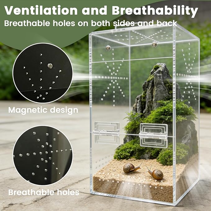 Jumping Spider Enclosure, 6"×6"×11.8" Escape Proof Transparent Acrylic Enclosure, Magnetic Door Acrylic Tarantula Terrarium with Feeding Port, Praying Mantis Terrariums, Arboreal Tarantula Cribs