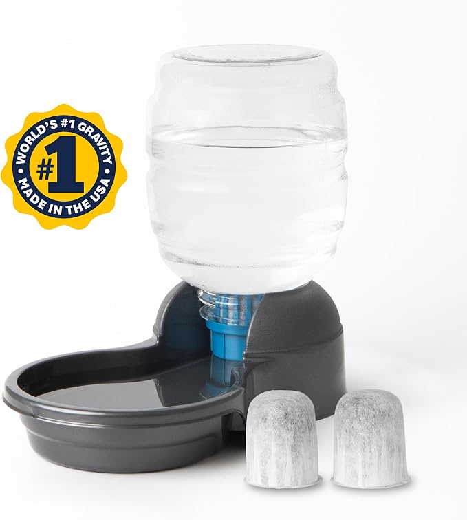 Petmate Replendish Automatic Dog Water Dispenser Gravity Pet Waterer with Microban Protection Base, 100% BPA Free - 1 Gallon, Wide Mouth Bowl, with 2 Extra Filters