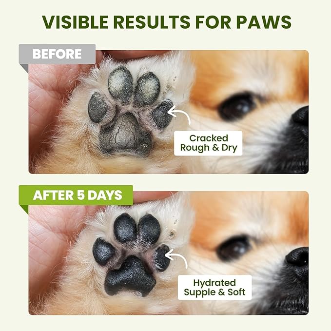 PawSono Lick-Safe Dog Paw & Nose Balm with Coconut Oil | All-Natural Moisturizer & Soother for Dry, Cracked Pads & Snout | Heat & Cold Pavement Protection Wax, Nose Butter for Bulldogs (2.1oz *2)