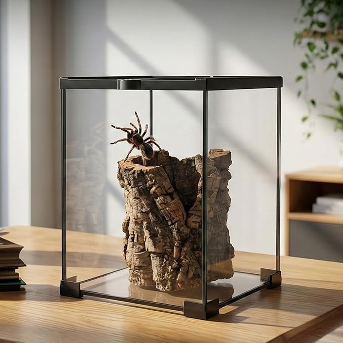 8x8x12 Terrarium Glass Tarantula Enclosure: Jumping Spider Enclosure with Lockable Sliding Screen Top for Crested Gecko Hermit Crab - Full View Stackable Vertical Tank for Arboreal Frog Habitat