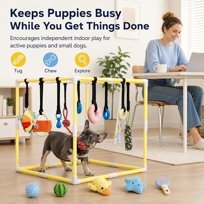 Puppy Play Gym with 17 Hanging Toys, Small Dog Indoor Enrichment Jungle Gym | Interactive Activity Center for Energetic Puppies & Cats, Teething Squeaky Toys, Bungee Straps & 22 in PVC Frame Playground