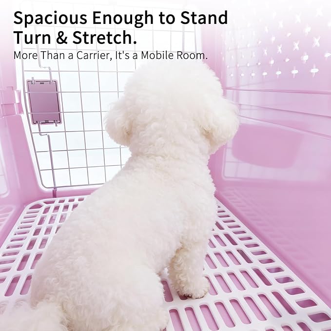 RIZZARI Pet Travel Carrier, 22" Hard Kennel for Cats & Small Dogs | Strong Wire Door,Comfortable Transport,Reliable Lock Design,Ventilated Side Panels,Lightweight Structure,Easy Daily Care