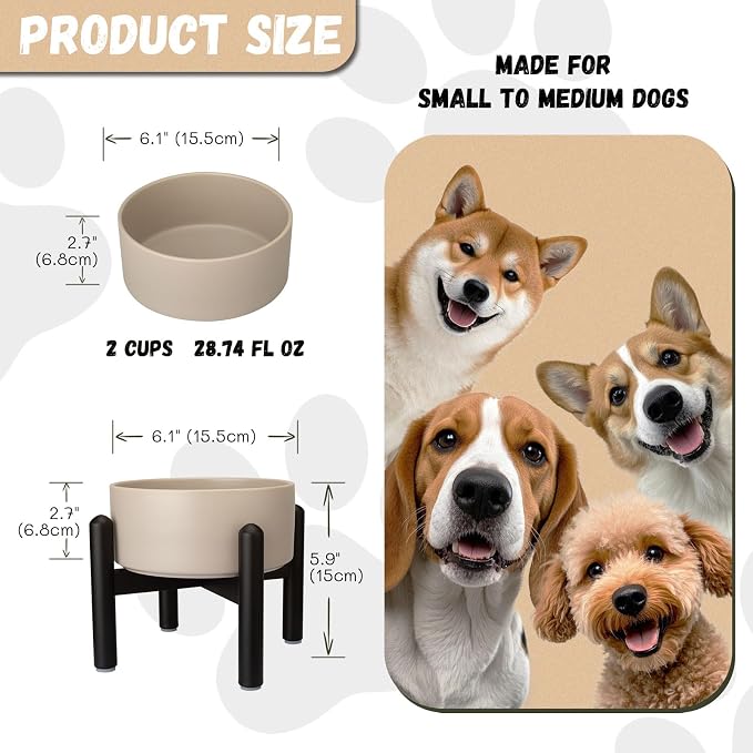 Raised Ceramic Dog Bowl Set with Stand, 2 Cups Elevated Dog Food Stand | 6.1'' Single Dog Food or Water Bowl Set, Non-Slip Dog Feeding Dishes for Small to Medium Breeds, 28.75 OZ, Grey