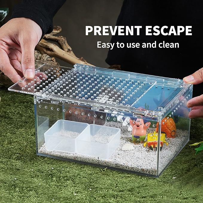 Reptile PC Terrarium 12" x 8" x 6", Tarantula Enclosure,Spider Tank Starter Kit, Hermit Crab Habitat,Lizard Enclosure,Insect Housing,Jumping Spider Cage