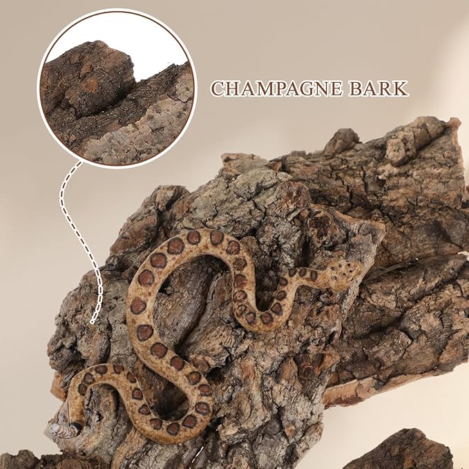 BESPORTBLE 4PCS Reptile Bark Decor Wood, Bearded Dragon Tank Accessorie Cork Hides Flats for Lizard Geckos Tortoise Terrarium Aquarium, Water Cork Tube Decor Random Shape Size 8-14cm