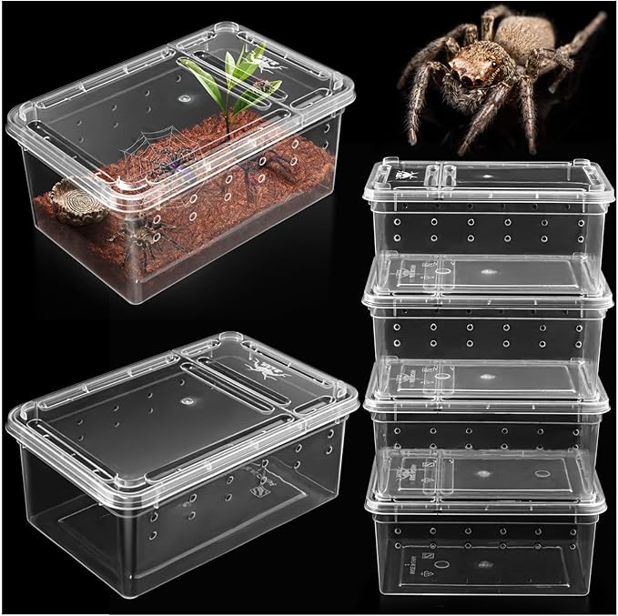 Small Jumping Spider Enclosure - 6 Pack Spider Terrariums, Breeding Box, Transparent Hatching Container, Plastic Feeding Box - 6 Pcs Super Mini