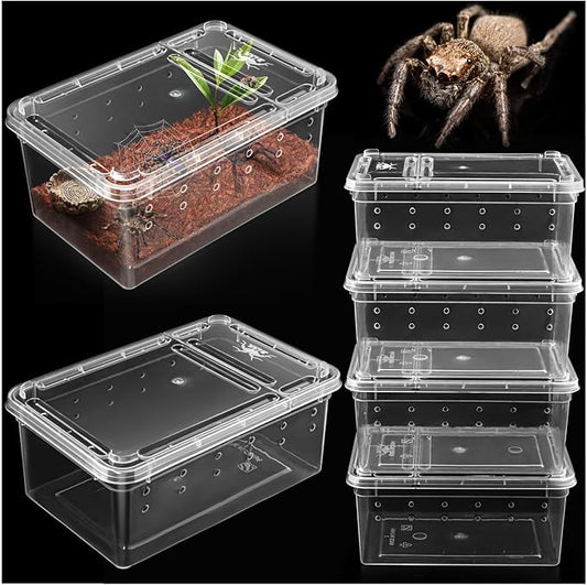 Small Jumping Spider Enclosure - 6 Pack Spider Terrariums, Breeding Box, Transparent Hatching Container, Plastic Feeding Box - 6 Pcs Super Mini