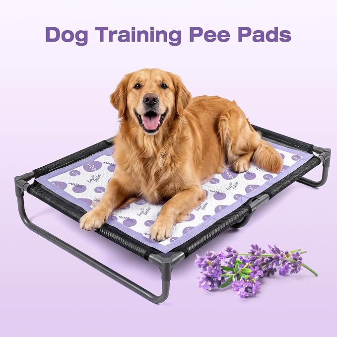 Dog Training Pads for Large Dog-28"x 34",40Cts | 6-Layer Super Absorbent Quick Dry Leakproof Dog Pads with Adhesive Tabs, Odor Control Pee Pads for Extra Large Dog