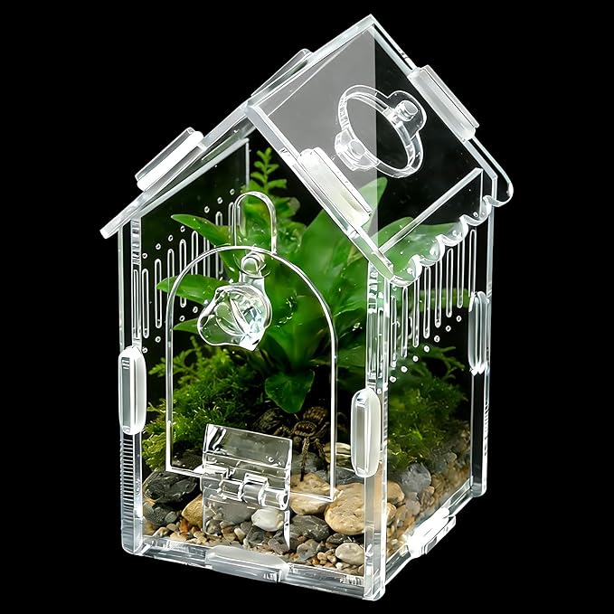 Jumping Spider Enclosure 3.15"×3.15"×5.6" - Magnetic Front Opening Acrylic Terrarium with Ventilation, Escape-Proof Habitat for Tarantulas, Mantis & Small Reptiles, No-Tool Easy Assembly