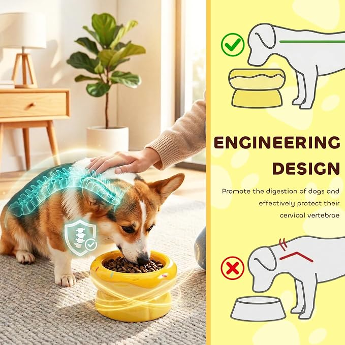 Donut Duo Ceramic Dog Bowl, Dog Water Bowl and Dog Food Bowl, Pet Bowls (Yellow)