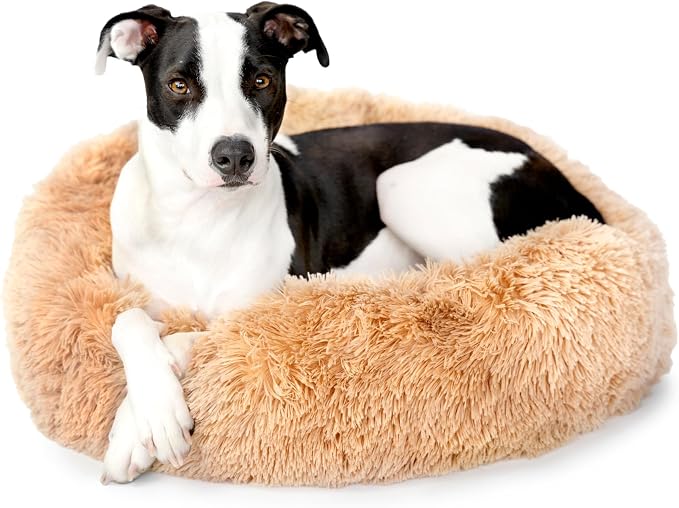 Barkbox Dog Bed, 2-in-1 Memory Foam Donut Cuddler Dog and Cat Bed, Calming Orthopedic Joint Relief Fur Crate Lounger for Pets, Machine Washable + Removable Cover, Waterproof Lining, Includes Toy | Calming Orthopedic Joint Relief Furry Crate Lounger for...