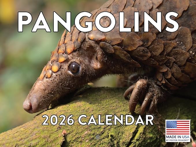 Pangolin Calendar 2026 Monthly Wall Calender 12 Month | American Made In The USA