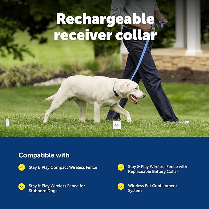 PetSafe Stay & Play Wireless Fence Receive Collar - Rechargeable and Waterproof Receiver Collar with Quick Charge in 2-3 Hours - for Dogs 5lb+