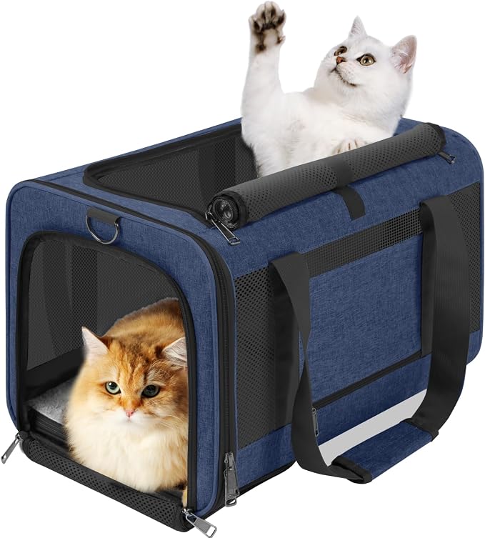 GAPZER Large Cat Carrier Soft, Collapsible Travel Pet Carry Bag, Small Dogs | Large Cats up to 20 lbs+ Maine Coon, Top Load Transport Small Puppy Dog Crate, Chihuahua Mini Dog 10lbs, Sturdy Fabric Navy