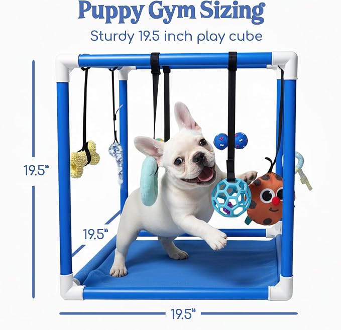 Race&Herd 19.5" Puppy Play Gym — Small Dog Jungle Activity Mat (Ocean) | Dog Play Mat with 8 Bungee Straps, Interactive Puppy Active Toys — Indoor Enrichment Playground Set