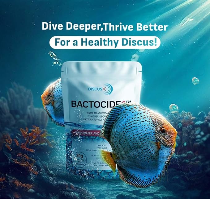 Bactocide 1 Discus X