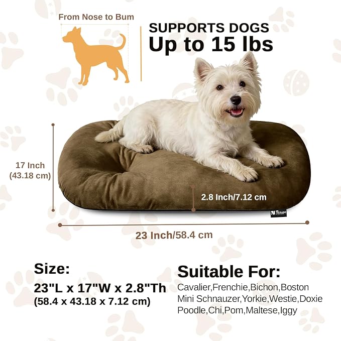 Washable Oval Dog Bed for Small Dogs,Silver-Tipped High-Resilience,Brown | Non-Slip Bottom Prevents Sliding,Soft Plush Short Fur,Machine Washable Cushion,Ideal for Crates & Small Spaces,23"x17"x2.8"
