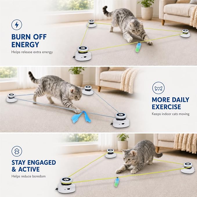 Automatic Cat Toy for Indoor Cats with Remote Control, Interactive Cat Chase Toy with Moving Feather Lure, DIY Floor Route Kit with Mouse Sound, Rechargeable Self-Play Toy