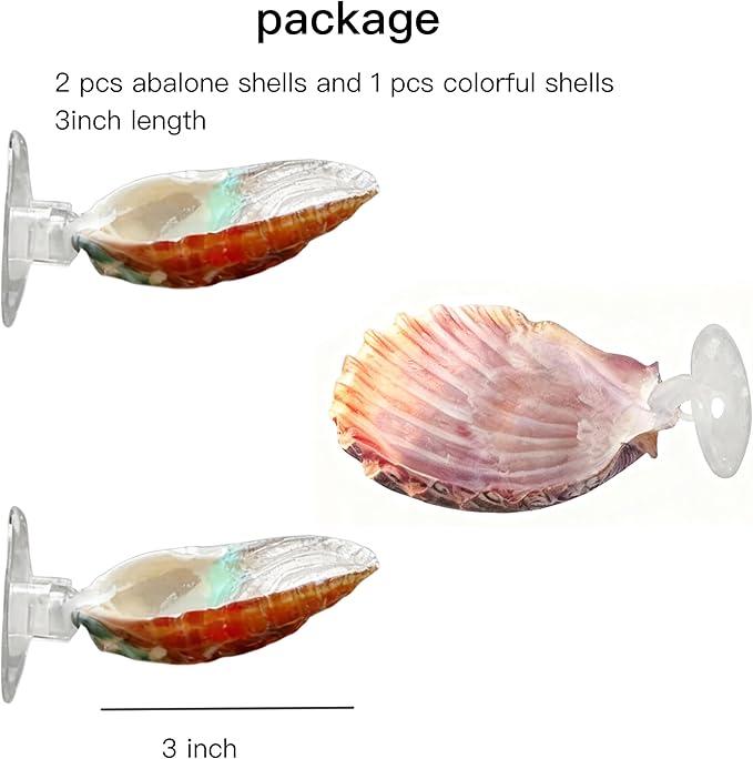 3 Pack Betta Fish Resting Spot Natrual Handmade Shell Bed for Betta, Aquarium Decor Angelfish breeding Slate Spawning Grounds Breeding Resting Bed Betta Hammock